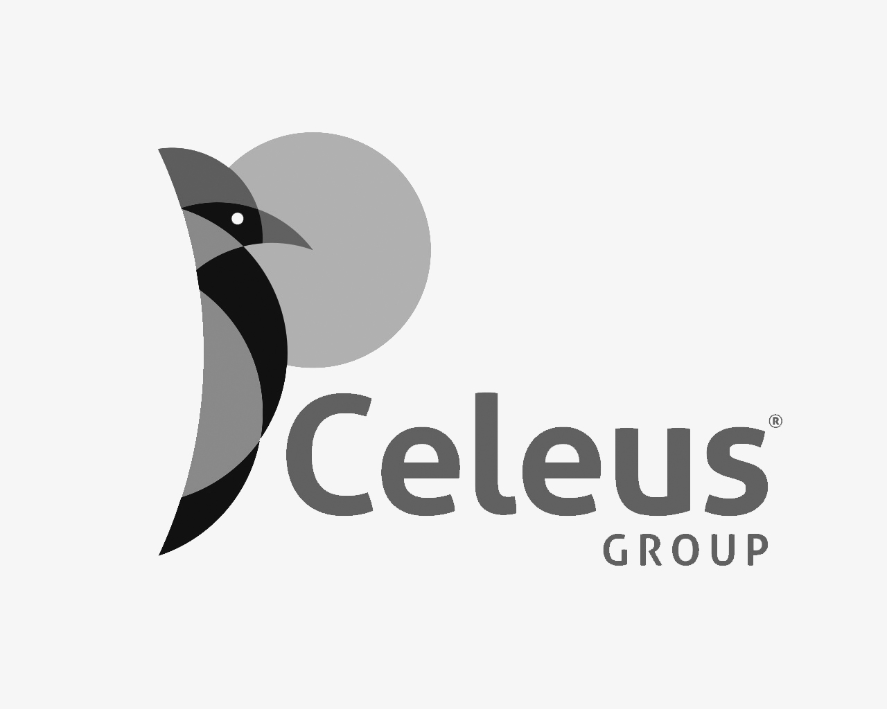 Marca de Celeus Group, Colombia. Diseñada por Momo & Cía.